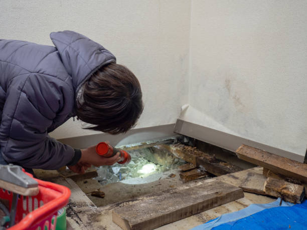 Best Indoor Air Quality Assessment  in Elkton, MD