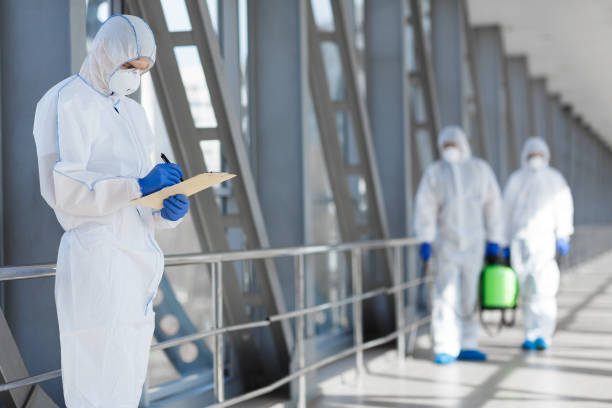 Best Dehumidification Services  in Elkton, MD
