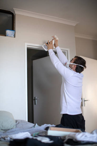 Best Mold Odor Removal Services  in Elkton, MD