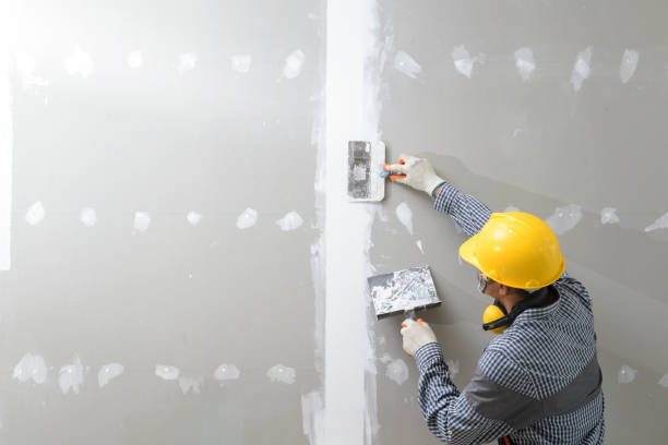 Best Post-Construction Mold Inspection  in Elkton, MD