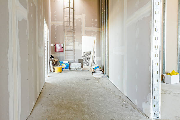 Best Air Quality Testing for Mold Spores  in Elkton, MD